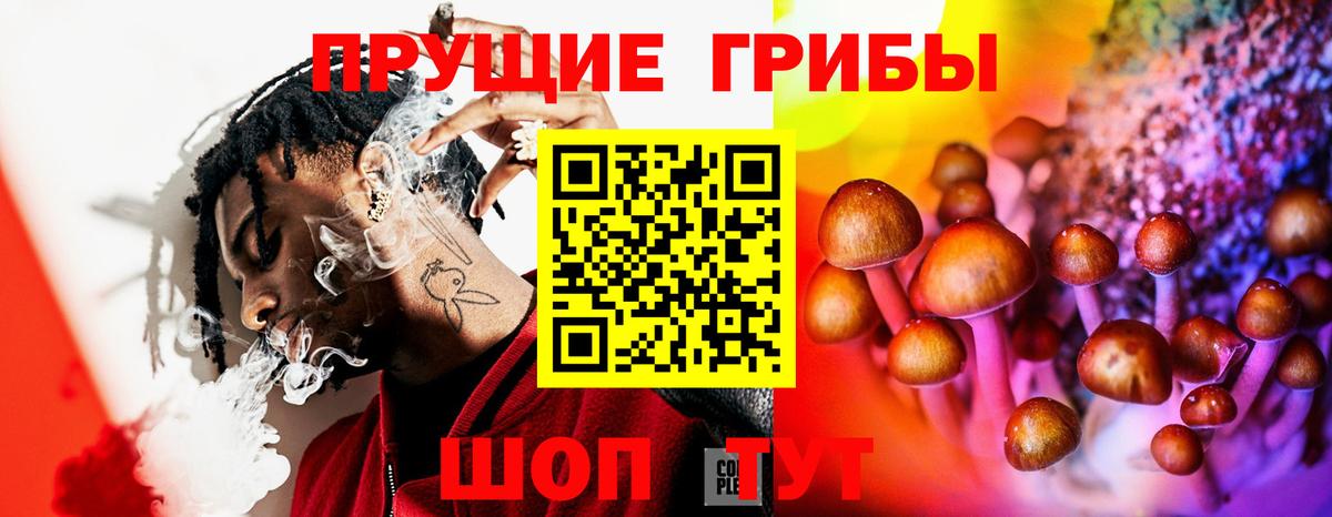 Кизилюрт  Псилоцибиновые грибы Psilocybine cubensis  Вход с VPN 